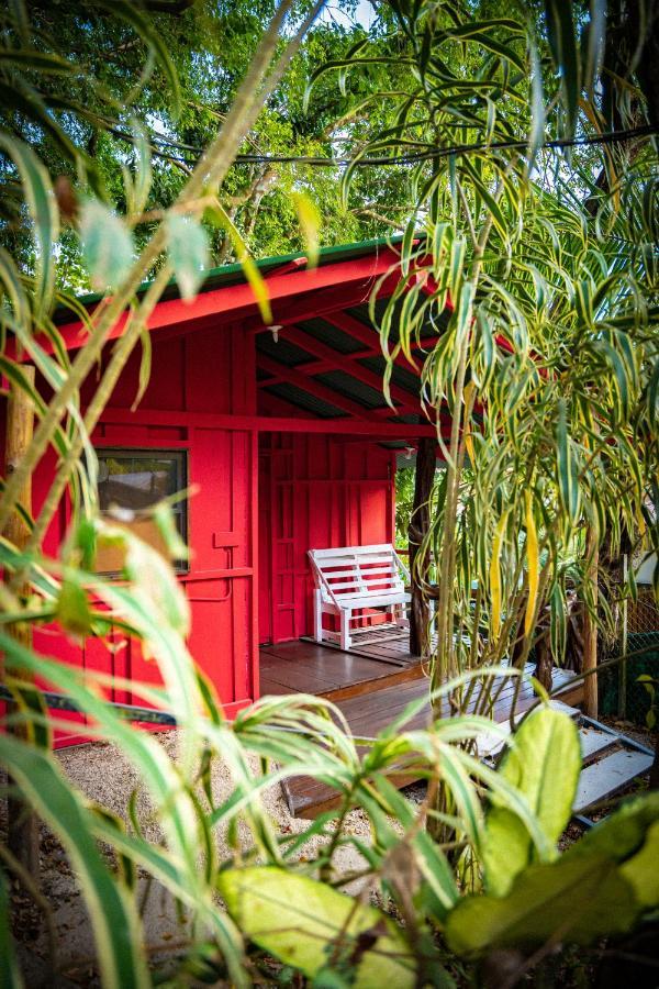 Pura Vida Mini Hostel Santa Teresa Playa Santa Teresa  ภายนอก รูปภาพ