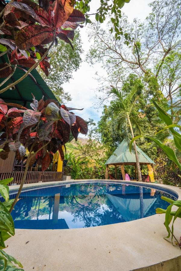 Pura Vida Mini Hostel Santa Teresa Playa Santa Teresa  ภายนอก รูปภาพ
