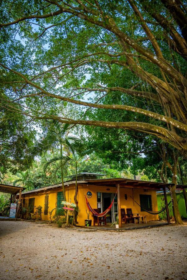 Pura Vida Mini Hostel Santa Teresa Playa Santa Teresa  ภายนอก รูปภาพ