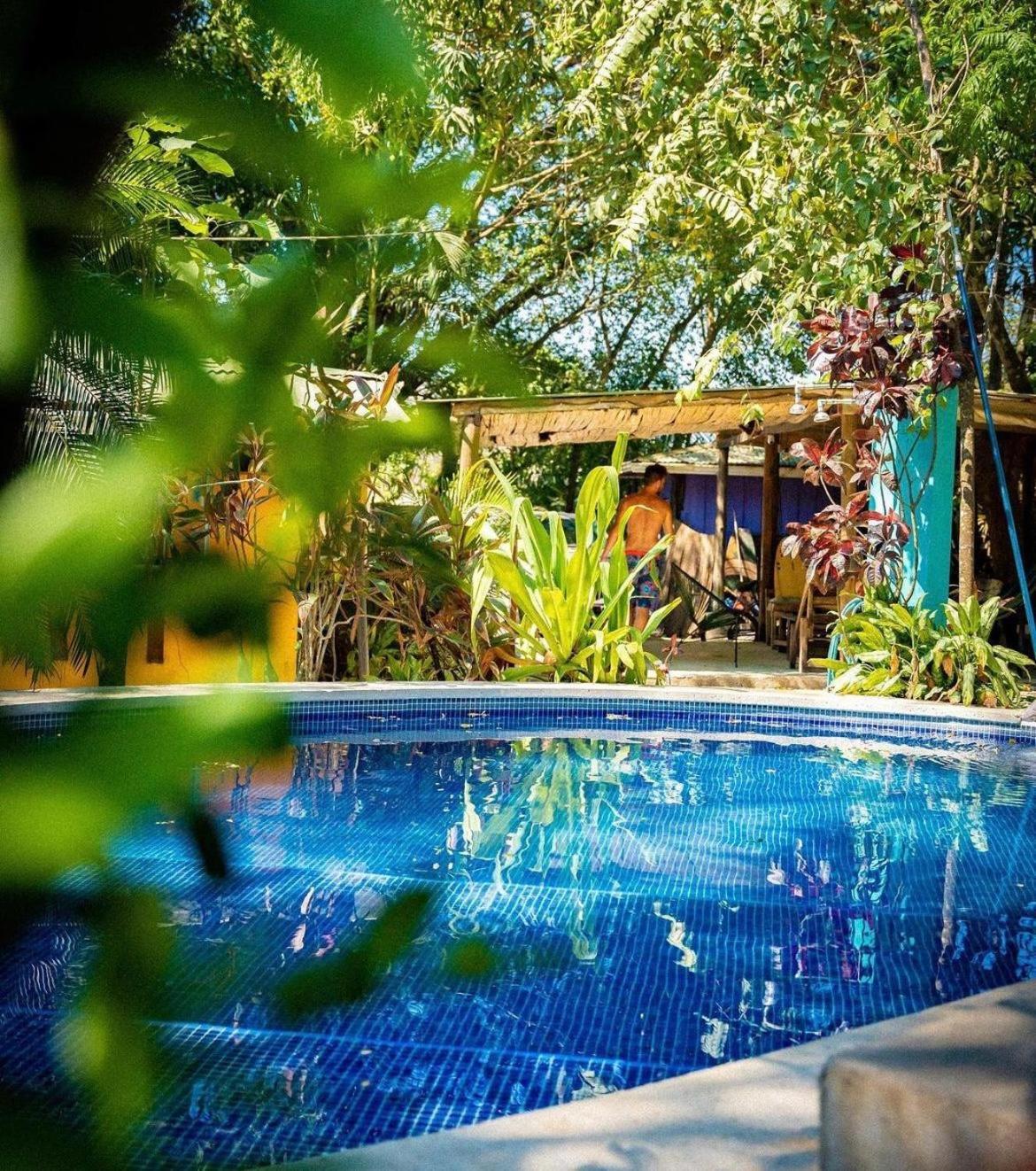 Pura Vida Mini Hostel Santa Teresa Playa Santa Teresa  ภายนอก รูปภาพ